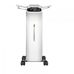 先锋（Singfun）DYT-L1取暖器 电暖器 家用电暖气片 电热油汀 速效升温 干衣加湿