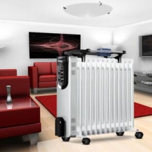 志高（chigo) ZND-200-13F 13片电热油汀取暖器