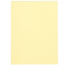 得力（deli）9077 百事贴便利贴 告示贴大号76*101mm 黄色