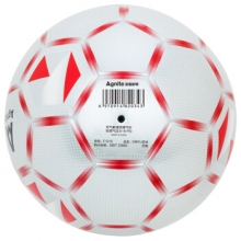 安格耐特 AGNITE F1215 5号高端PU手帖足球比赛训练用球 耐磨