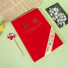 晨光 ASCN9503 尊贤绒面奖状8K 含芯