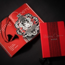 晨光 APYDWN92 盛世新颜限量顶级A5精装本