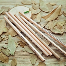 广博  QB9561D  简·木铅笔HB(30只装）