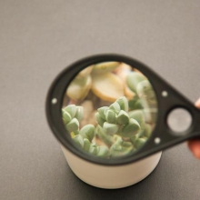 广博  WQT9108  放大镜（直径75MM）