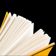 广博  FZ332015   148*210mm 96张时间管理记事本