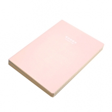 晨光  APYAT962 1650高效错题本(晨光优品考试) 4支/盒/128支/包