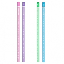 齐心 MP2030 六角木杆铅笔 (50支装) 2B  黑色