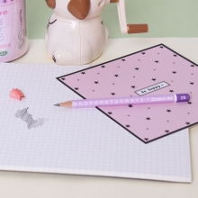 齐心 MP2030 六角木杆铅笔 (50支装) 2B  黑色