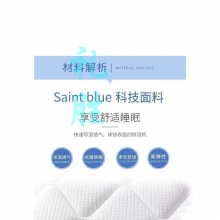 礼胜 LS99058 床垫