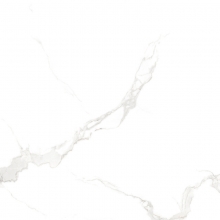 皇冠陶瓷CCP8001瓷抛砖+800*800